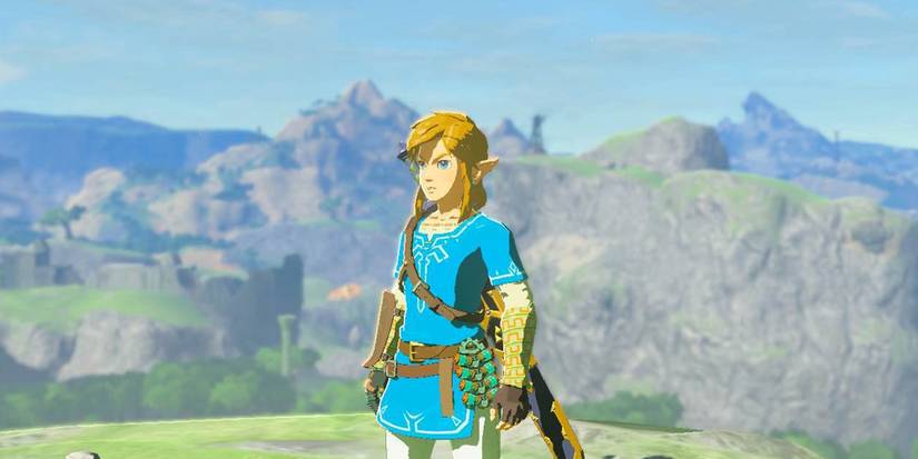 All Previous Link Costumes In Legend Of Zelda: Tears Of The Kingdom, Ranked All Previous Link Costumes In Legend Of Zelda: Tears Of The Kingdom, Ranked