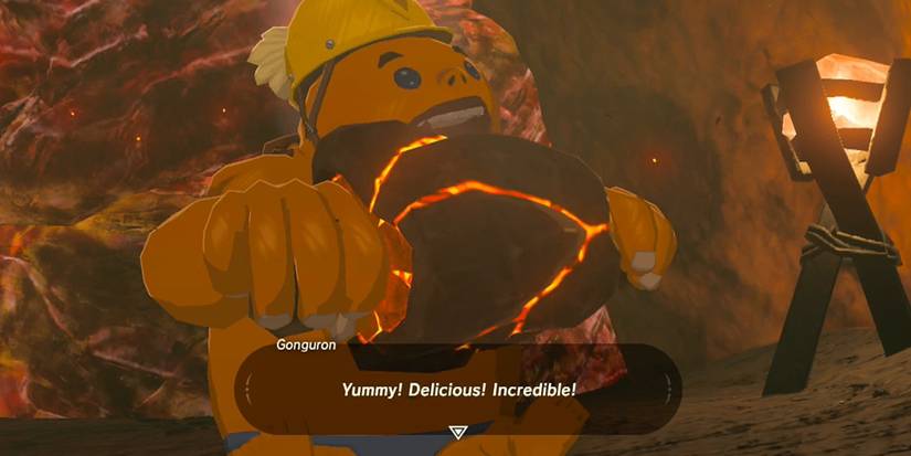 10 Things You Didn't Know About The Goron In Zelda