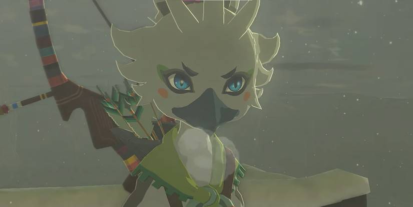 The Rito Legend of Zelda Rito Fun Facts & Trivia