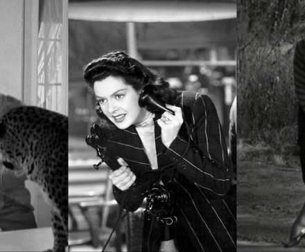 Most Risque Pre-Code Movies of the 1930s