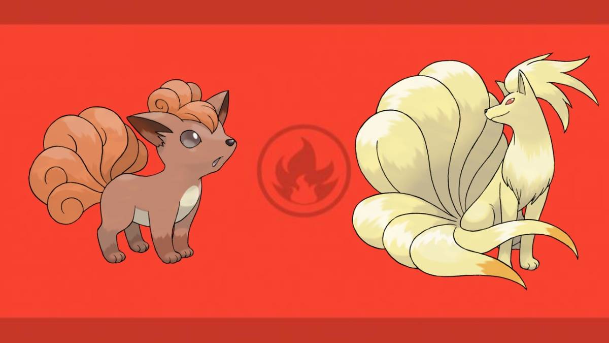 Hunfire Pokemon 10 Cutest Fire Type Pokémon in the Hoenn Region, Ranked