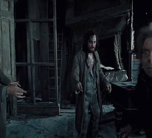 Animagi How Do Witches and Wizards Become an Animagi in Harry Potter?