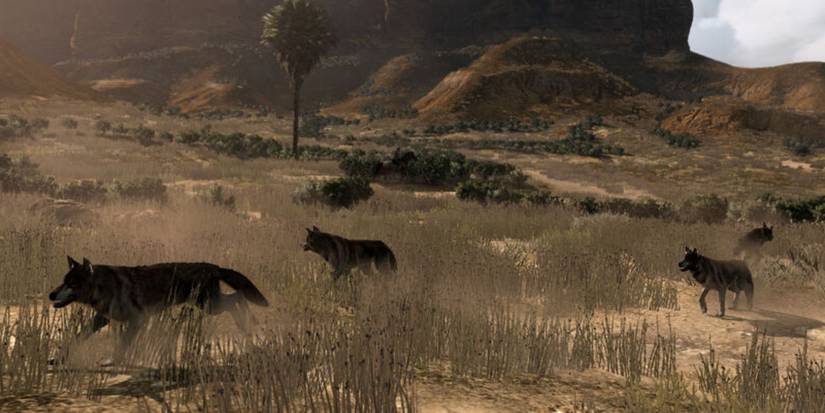 Red Dead Redemption Explosive Rifle Walkthrough