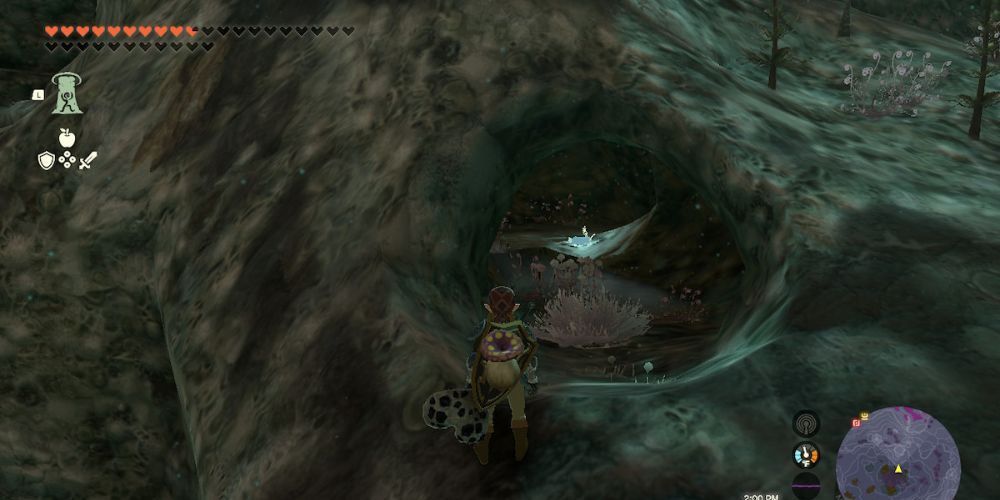 Tears of the Kingdom: 10 Coolest Locations In The Depths