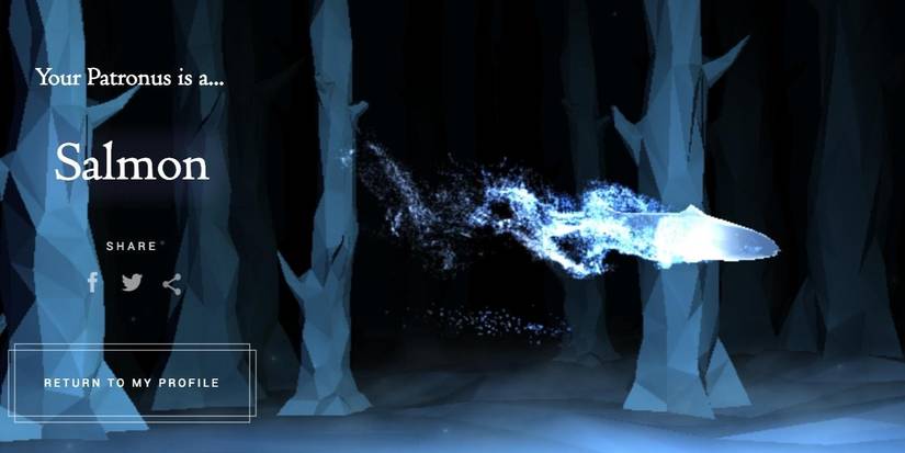 10 Weirdest Patronus Forms in Harry Potter, Ranked