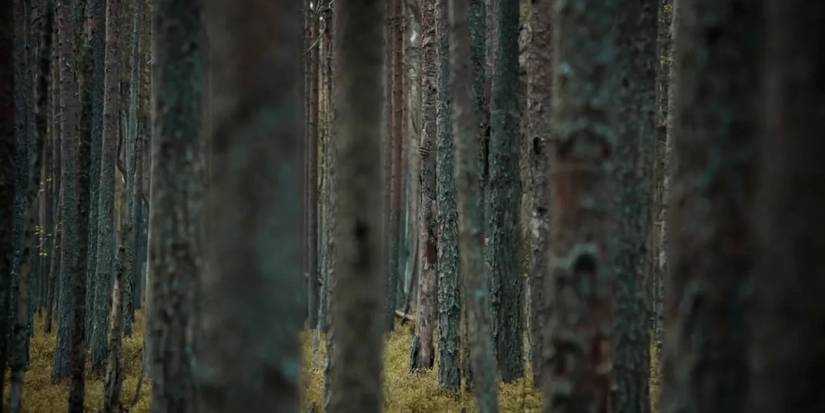 Netflix's The Ritual Introduced The Most Terrifying Horror Movie Monster