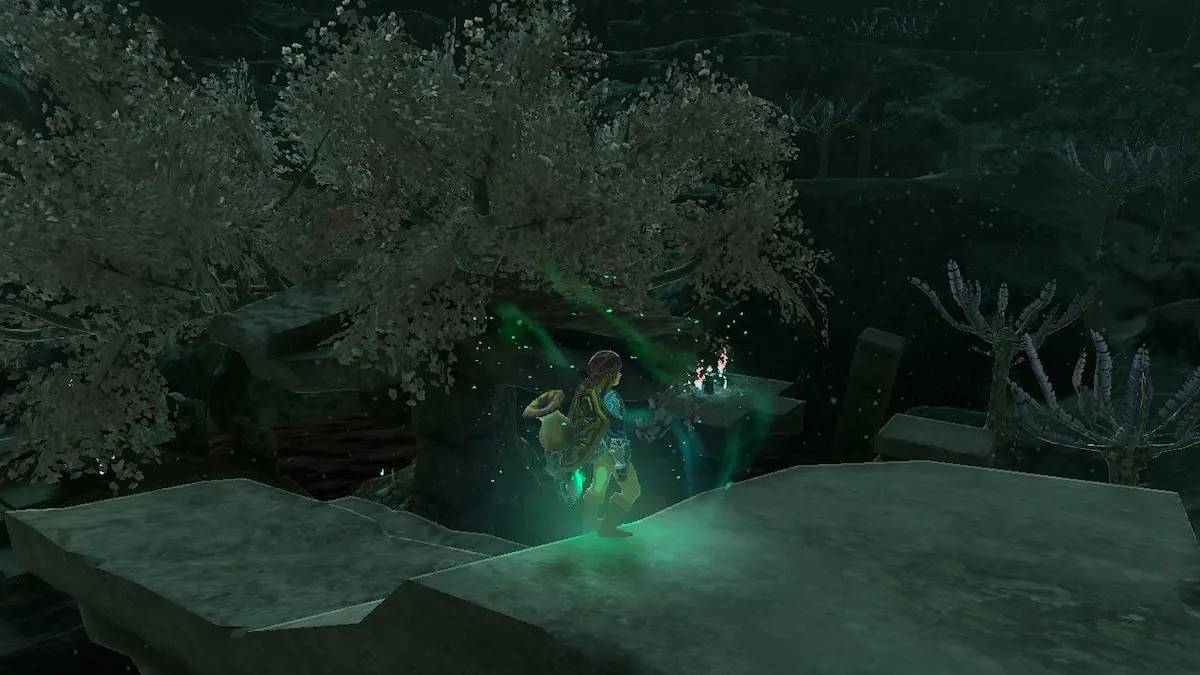 Blepee Tears of the Kingdom: 10 Coolest Locations In The Depths