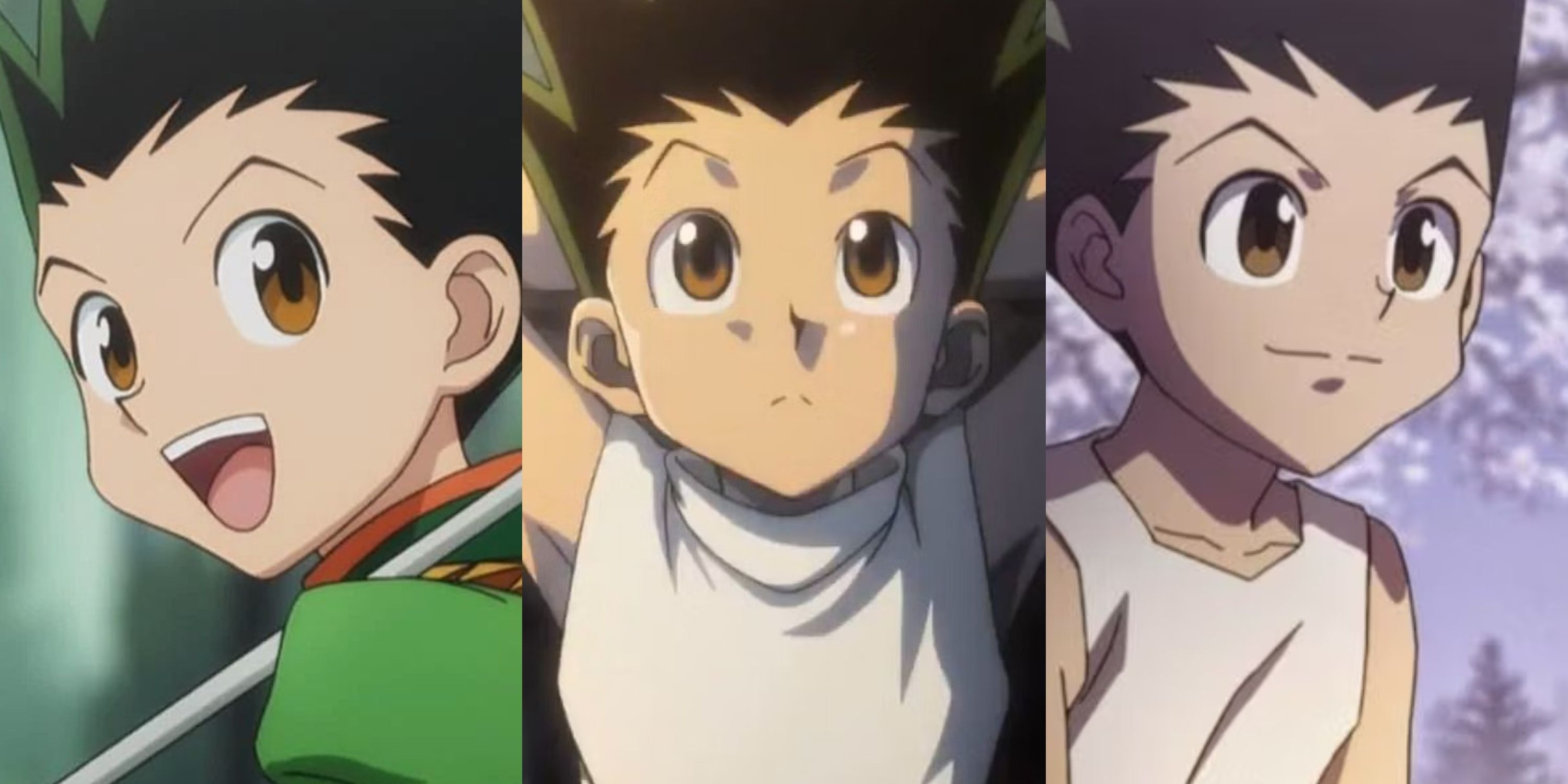 Best Hunter X Hunter Characters, Ranked