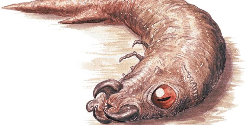 Mimics & Other Trap Monsters For Your D&D Campaign, Ranked