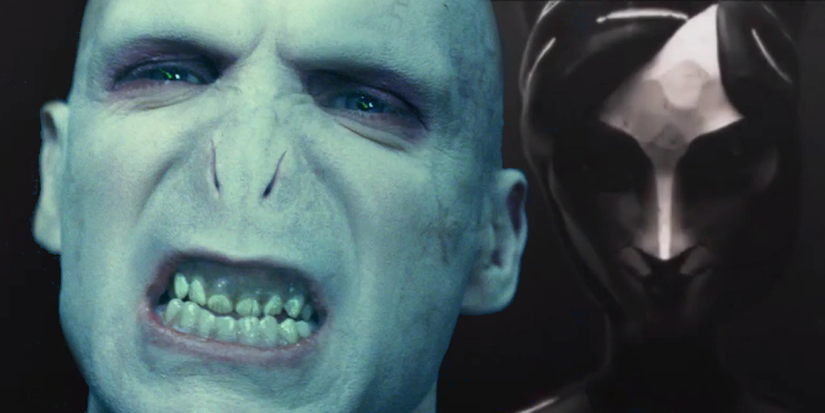 Voldemort Fangs 10 Worst Things Voldemort Does in the Harry Potter Books (That Aren't ...