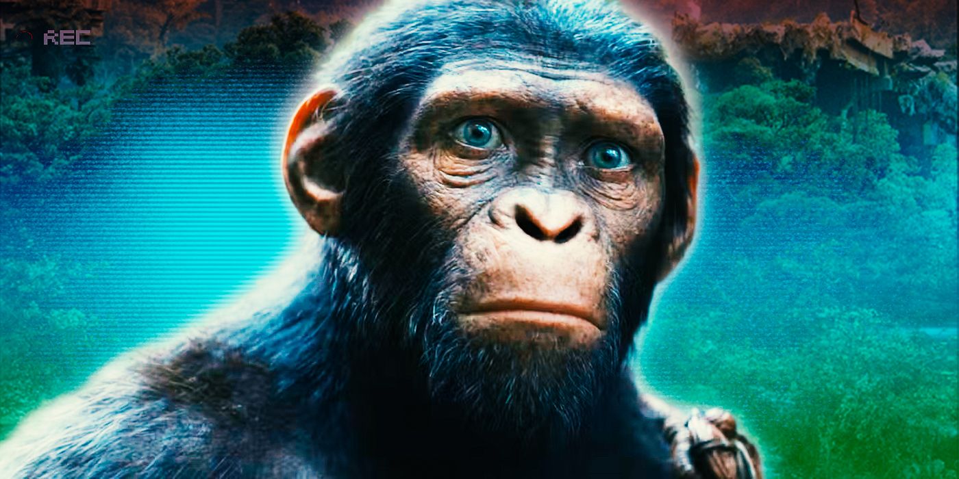 Kingdom of the Planet of the Apes Sequel Gets Major Release Update