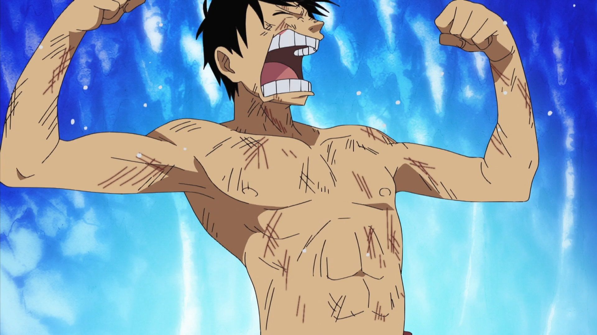 Every One Piece Character With The Will Of D.