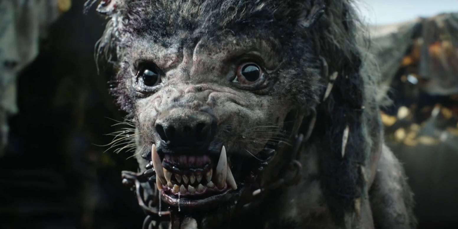 Wargs Rop The Lord of the Rings' Wargs, Explained