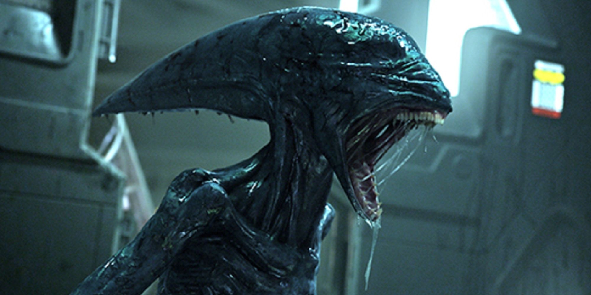 What Is Alien: Prometheus About?