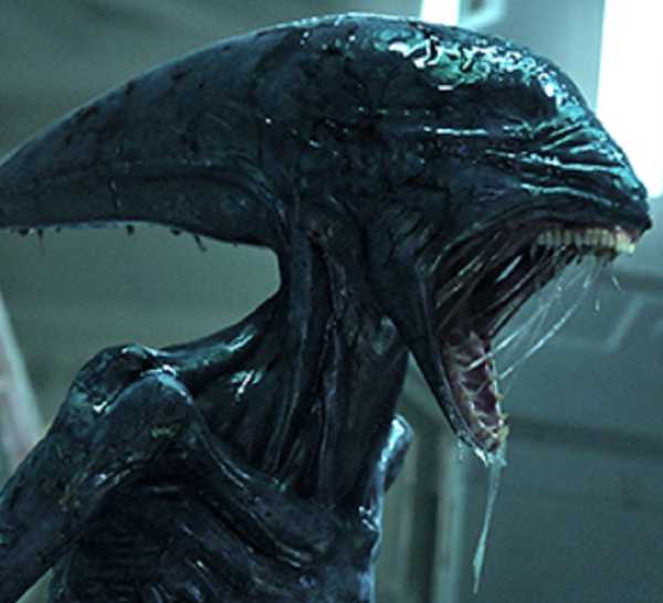 Predators In Prometheus Alien vs. Predator Movies Watch Guide