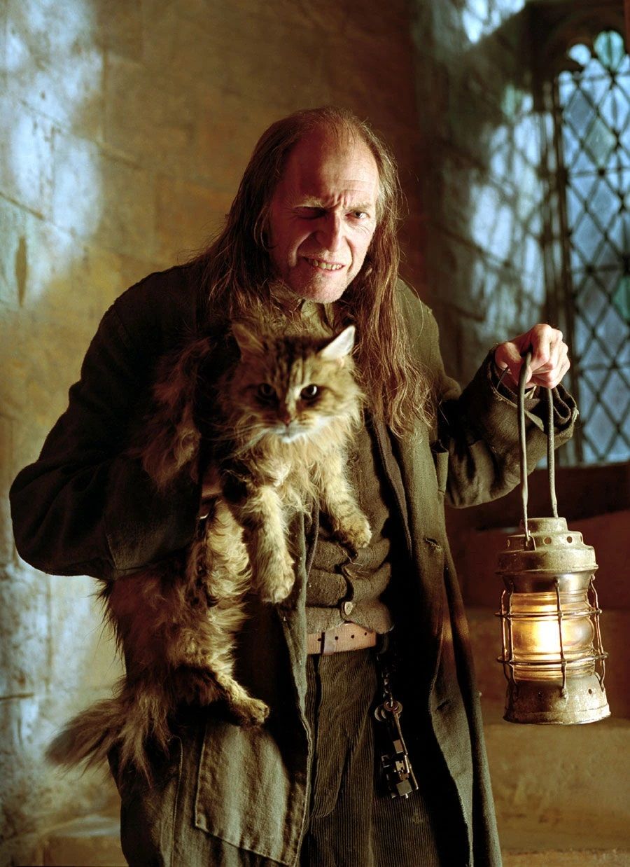 Harry Potter: Squibs, Explained