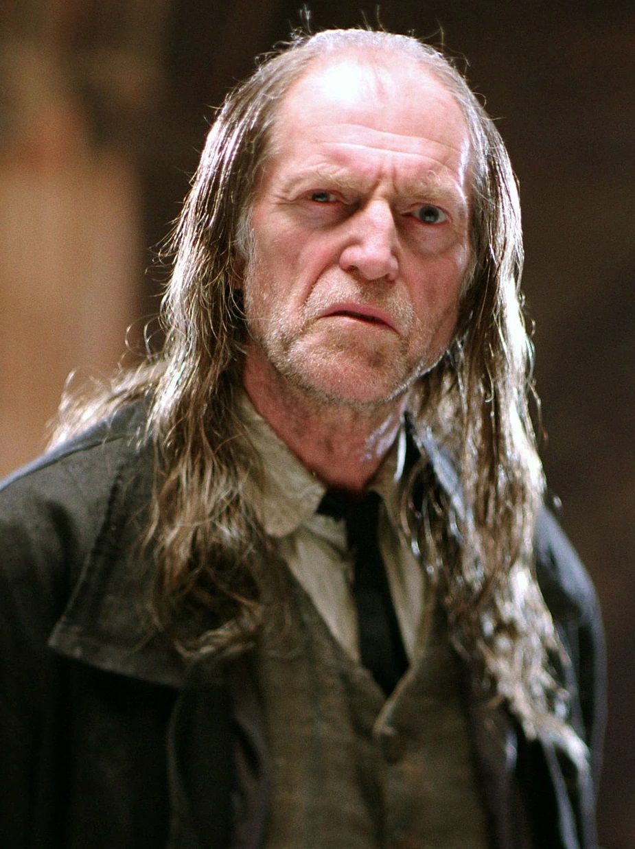 Harry Potter: Squibs, Explained