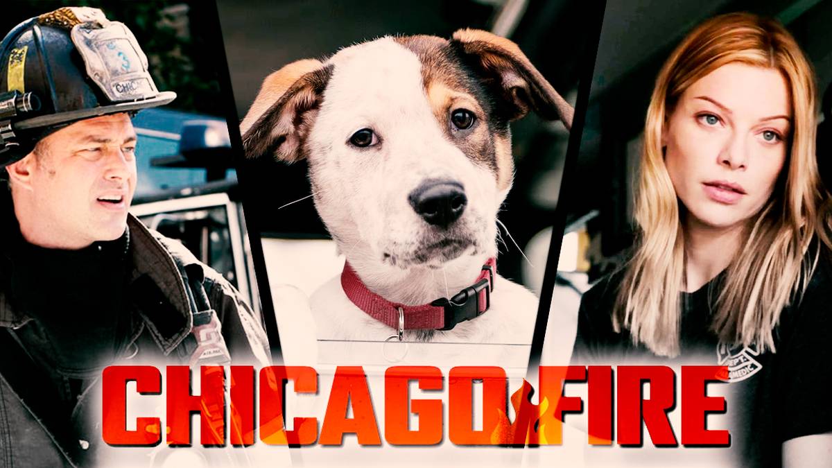 Chicago Fire Cast and Character Guide