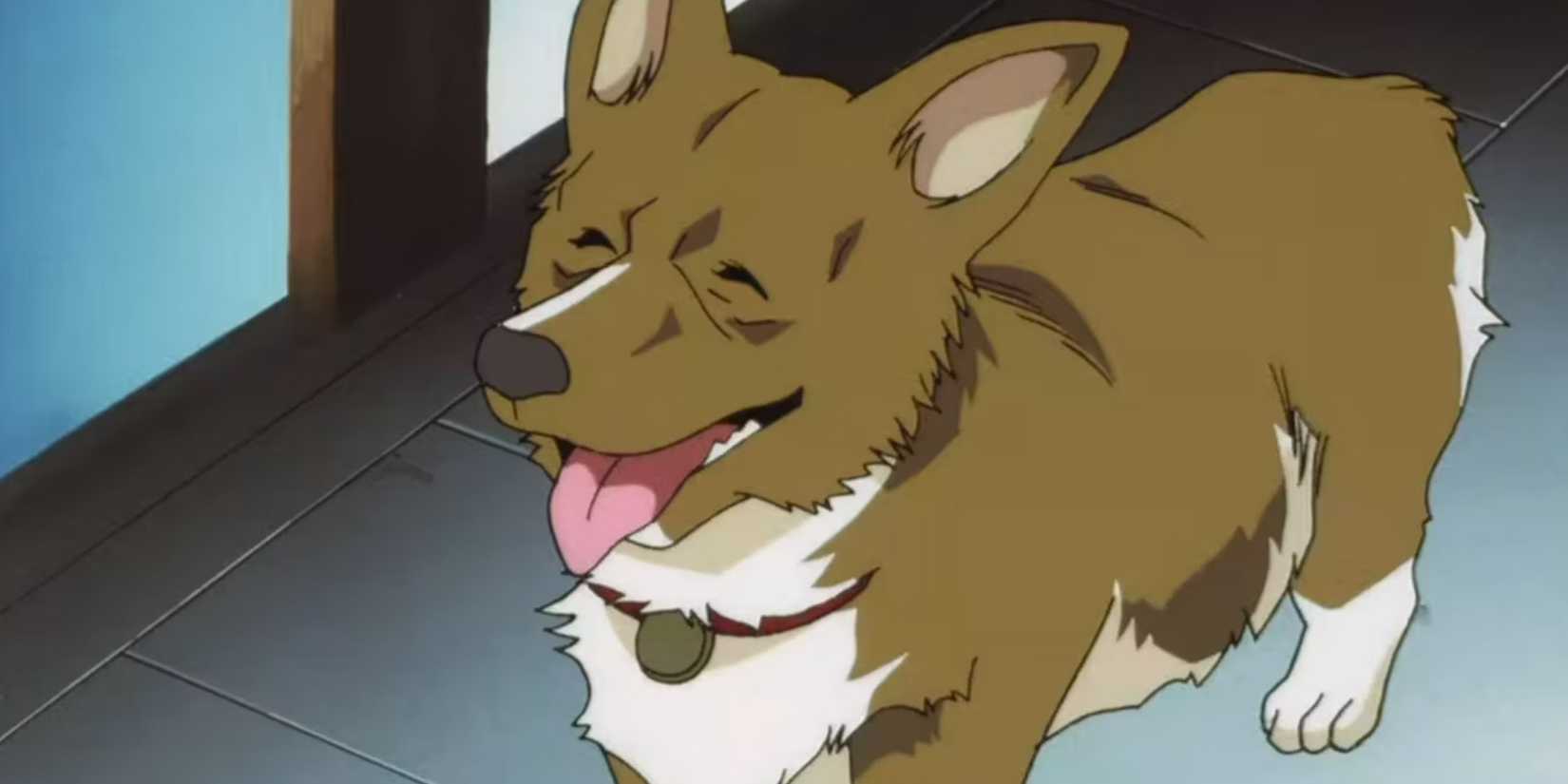 10 Best Cowboy Bebop Characters, Officially Ranked