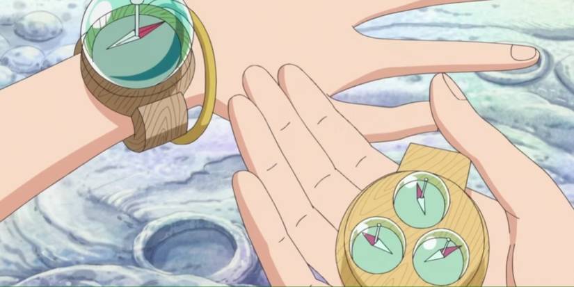 Two different types of Log Poses are held on display in One Piece