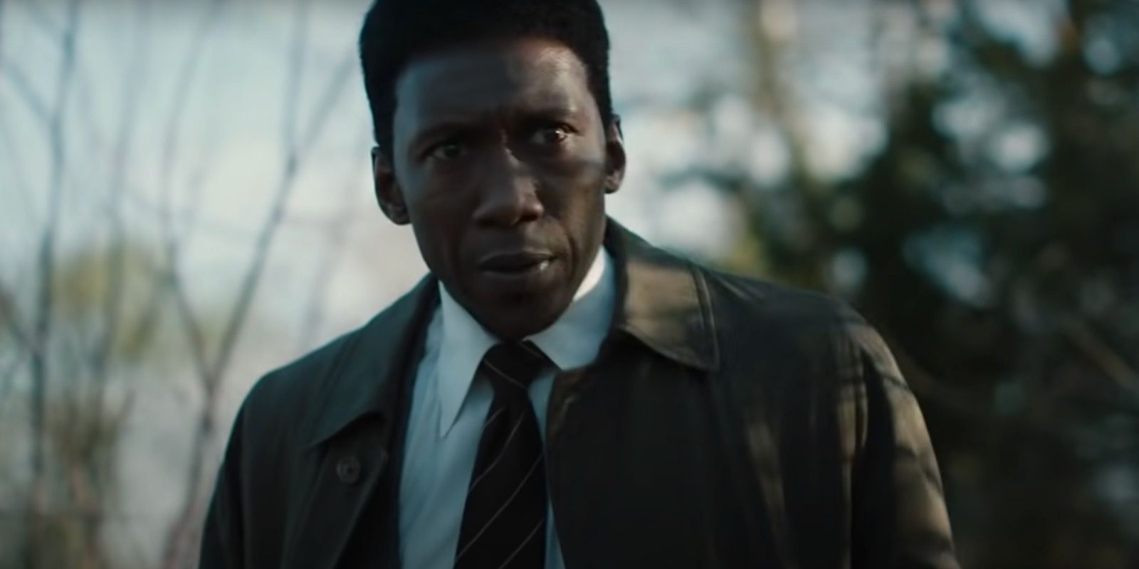 10 Thrilling Crime Shows You Can Binge in a Single Day