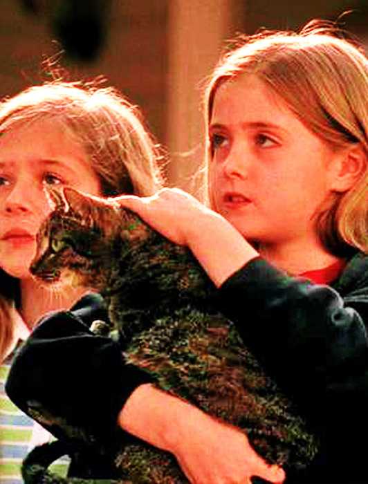 The Best CSI: Miami Episodes, Ranked