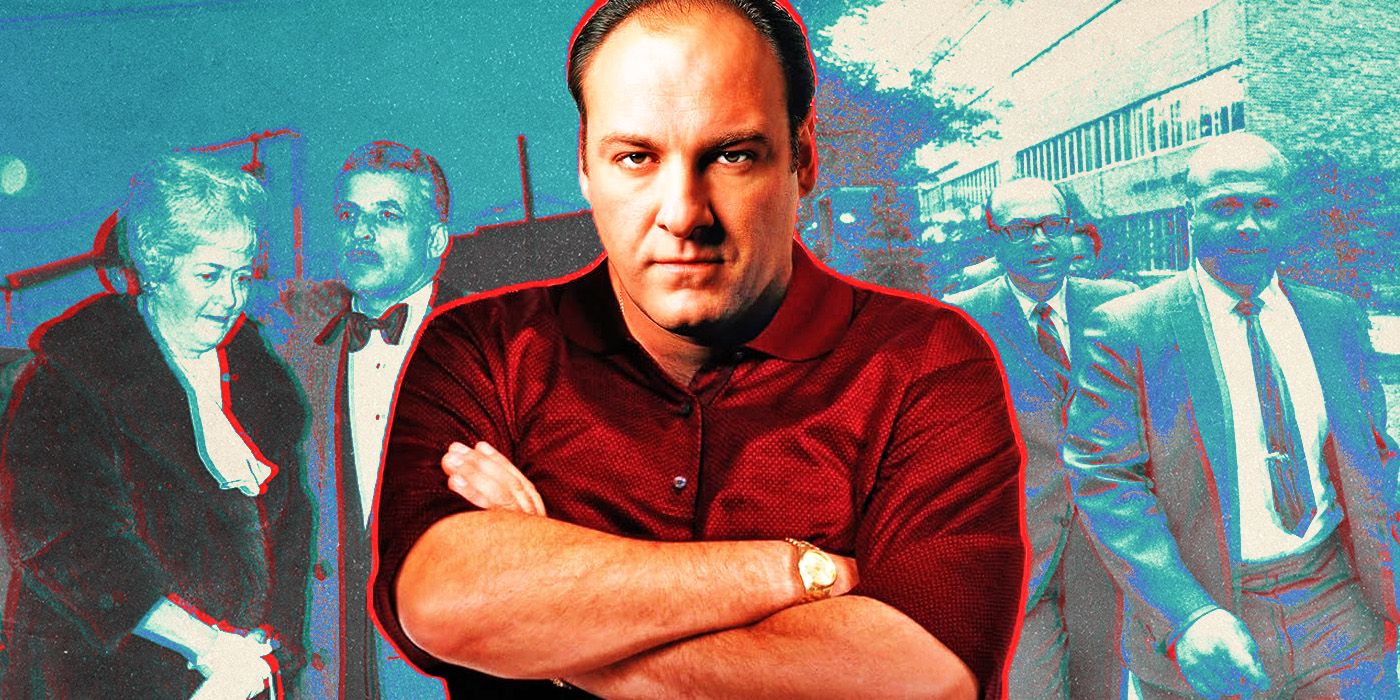 The Sopranos Star Reveals James Gandolfini's Reaction to Divisive