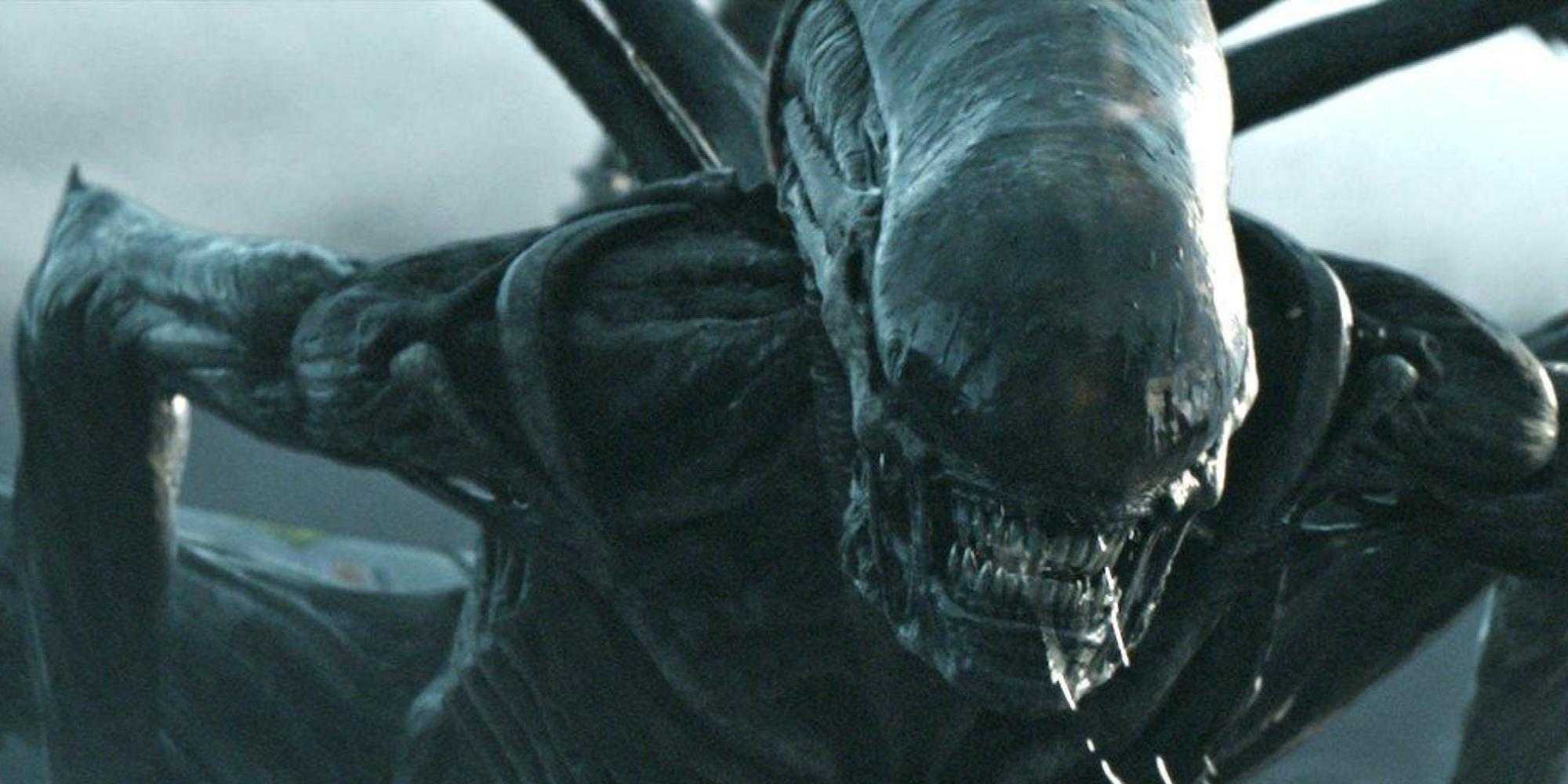 Polarizing Alien Movie With 65% RT Score Gets Hopeful Sequel Update ...