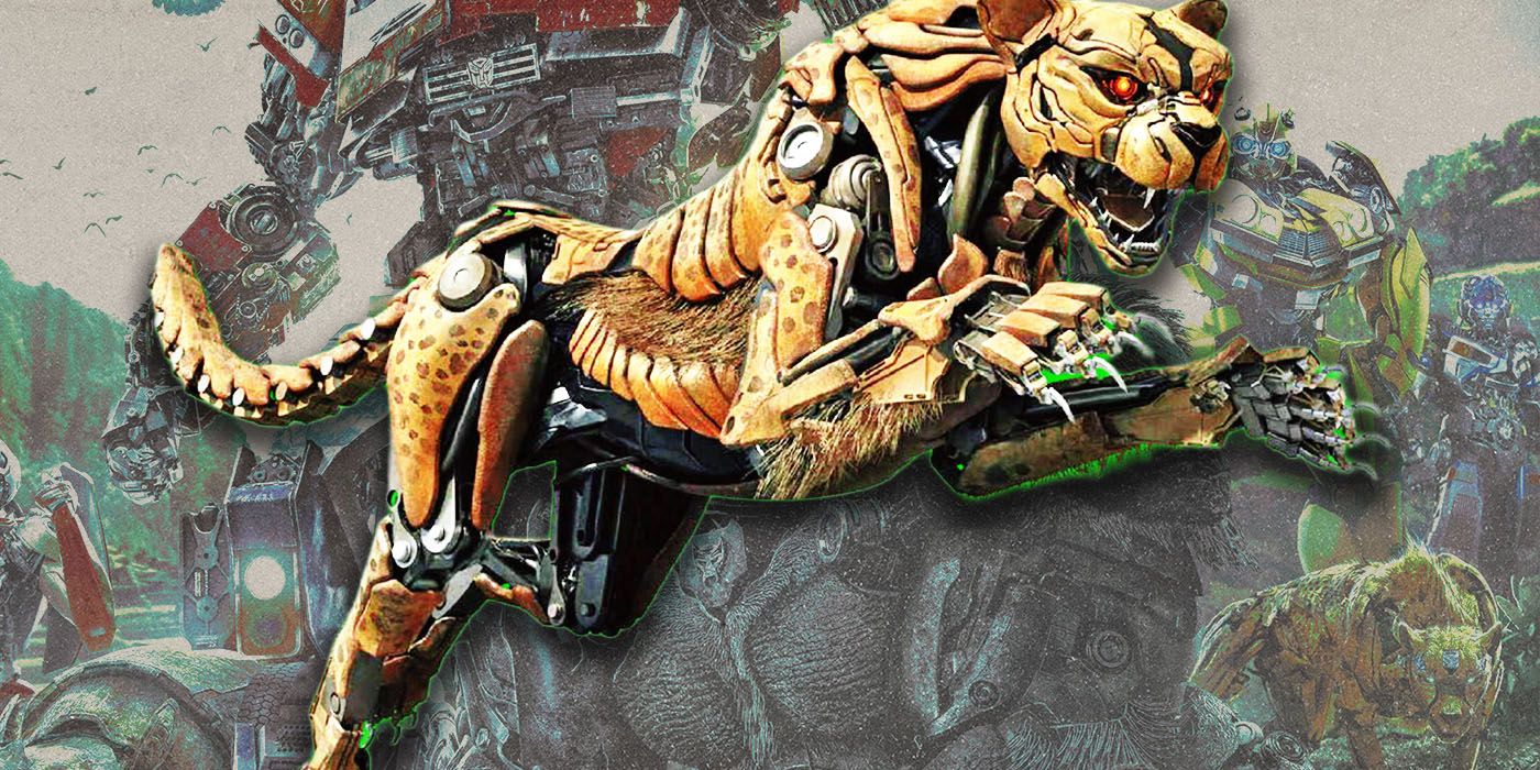 Cheetor in Transformers, Explained