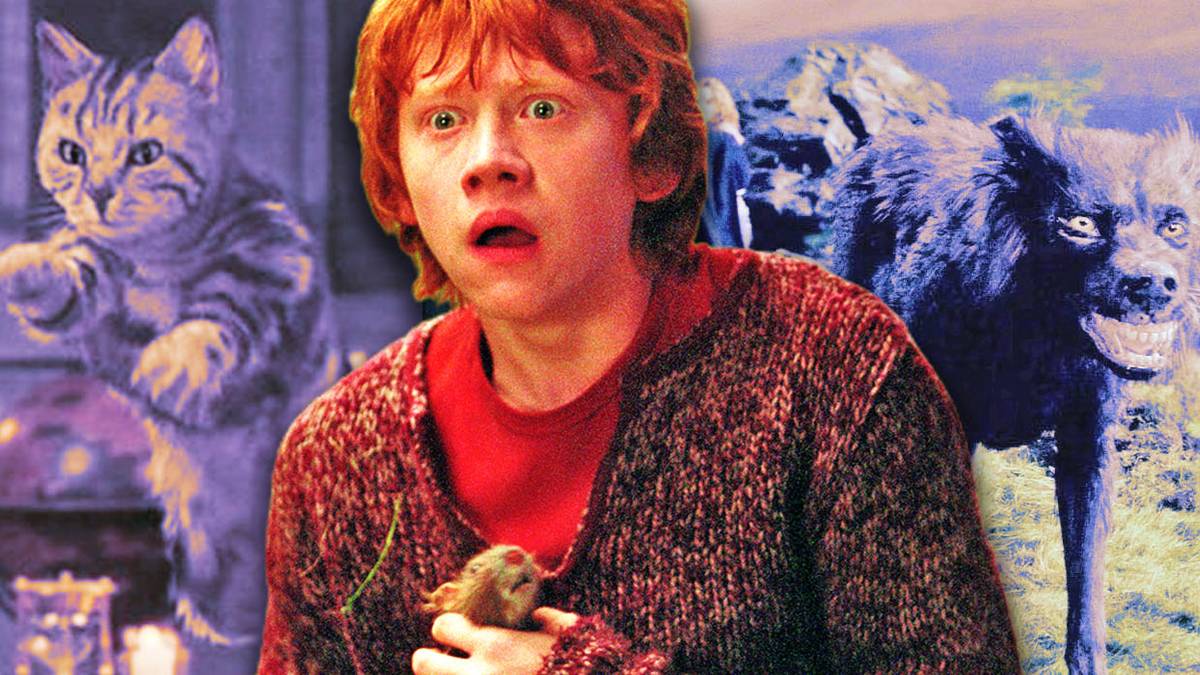 Animagi How Do Witches and Wizards Become an Animagi in Harry Potter?