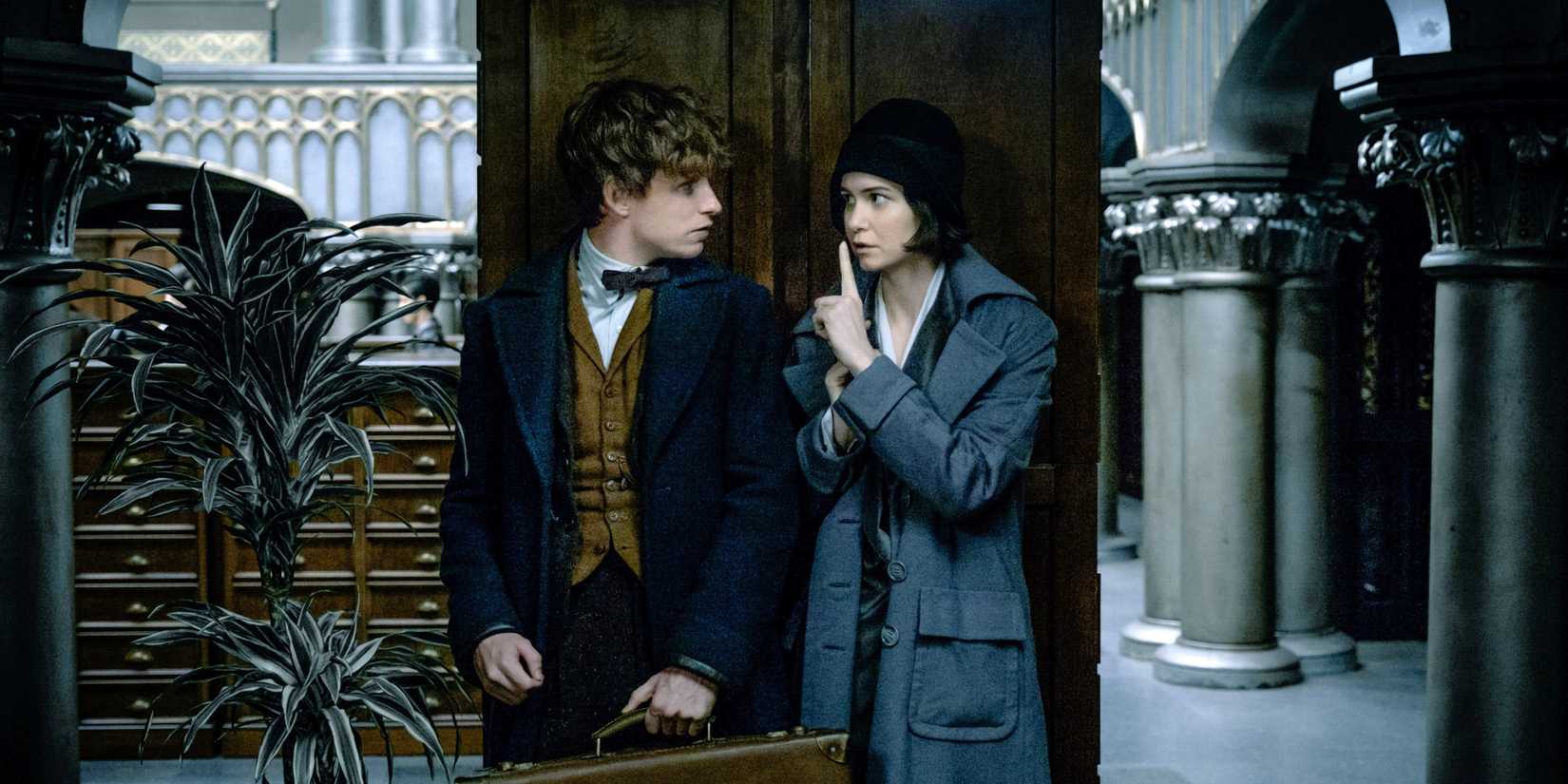 Newt Scamander and Tina Goldstein in Fantastic Beasts and Where to Find Them