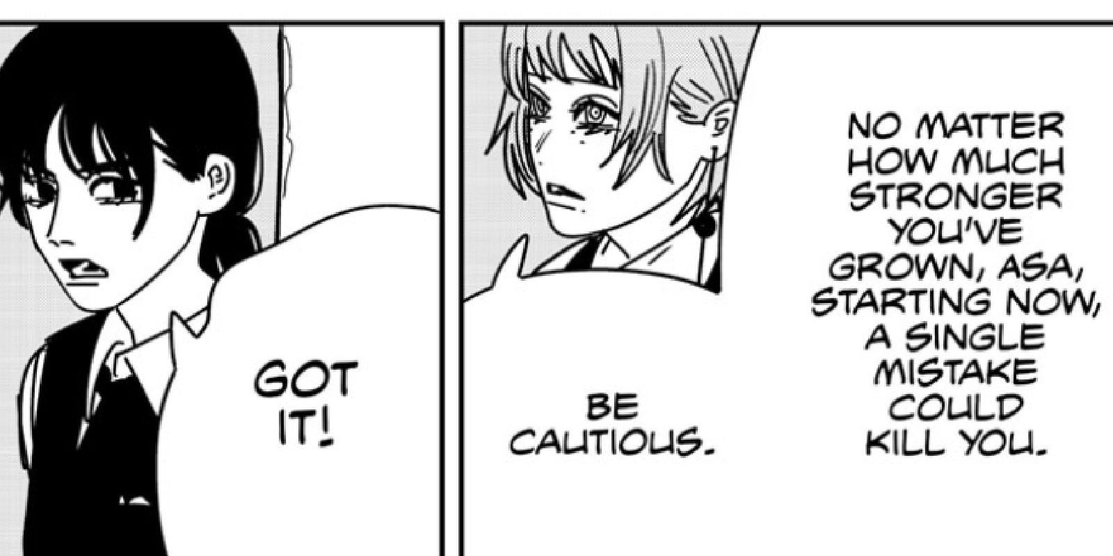 Questionable Chainsaw Man Storylines