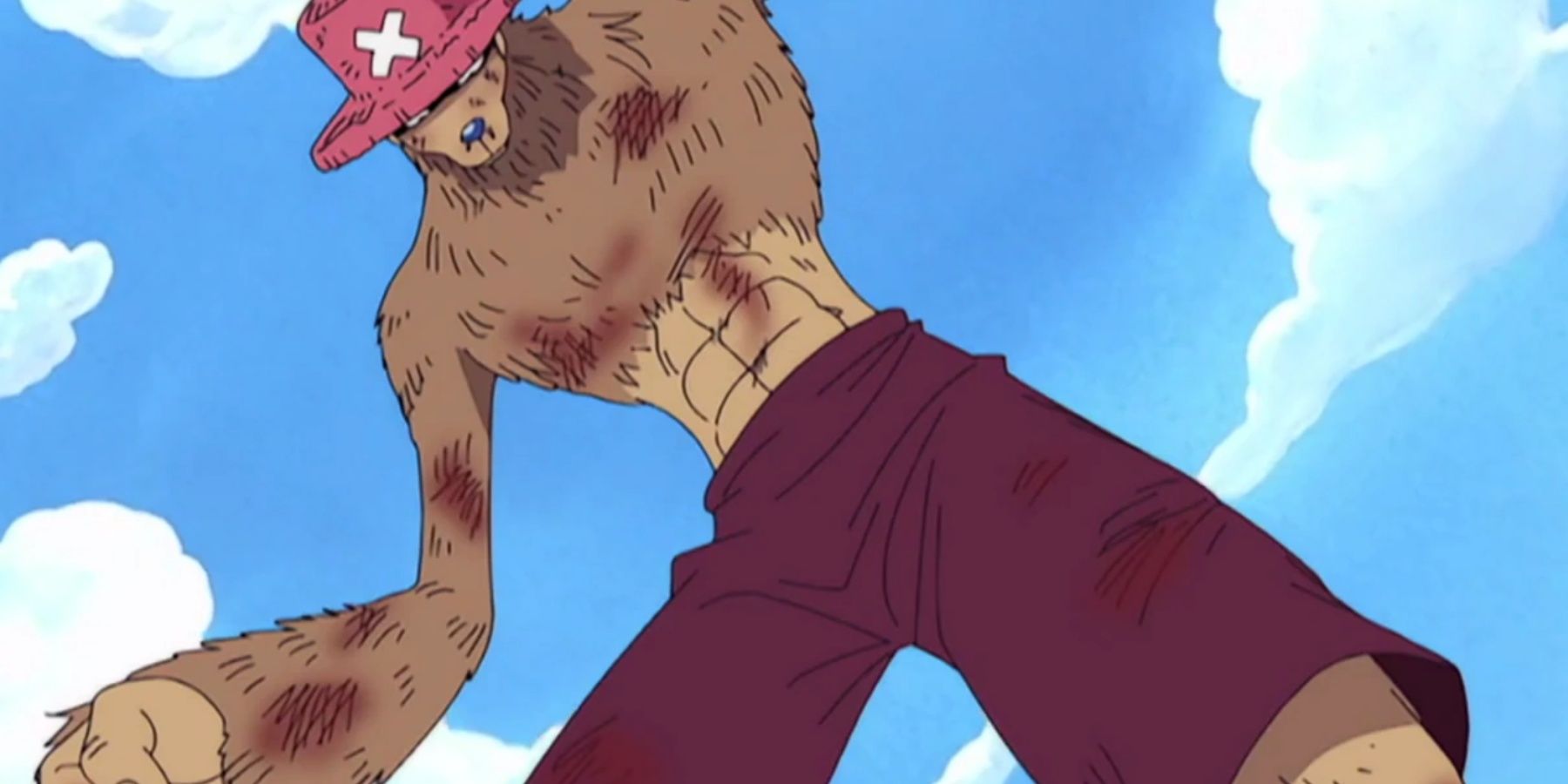 10 Best One Piece Characters, Ranked by Growth