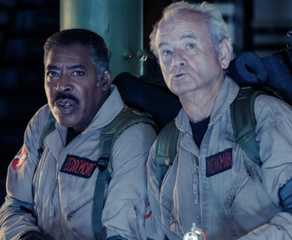 Donnie Wahlberg's Blue Bloods Offshoot Recruits Beloved Ghostbusters Star