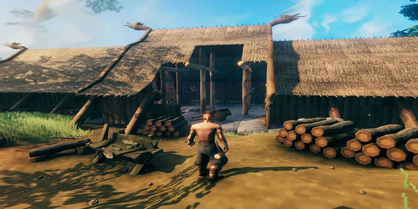 5 Greatest Open World Games With No Cities, Ranked