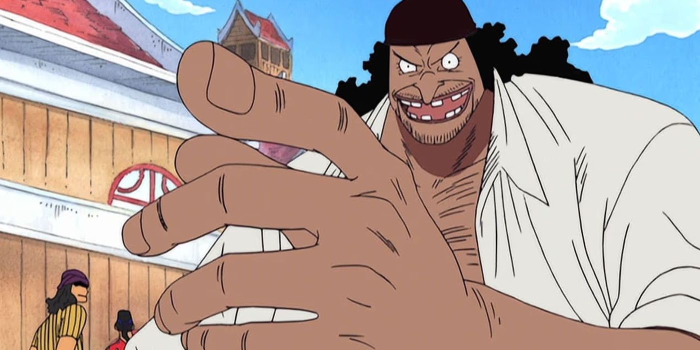 One Piece Details You Didn't Know Were Only Canon to the Anime