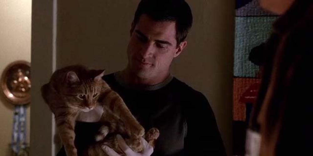 The Best CSI Episodes, Ranked