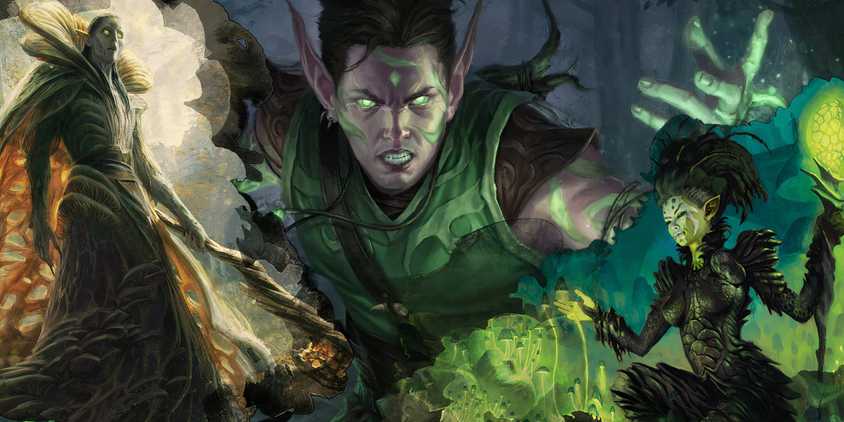 DnD 5e: The Best Bard Build