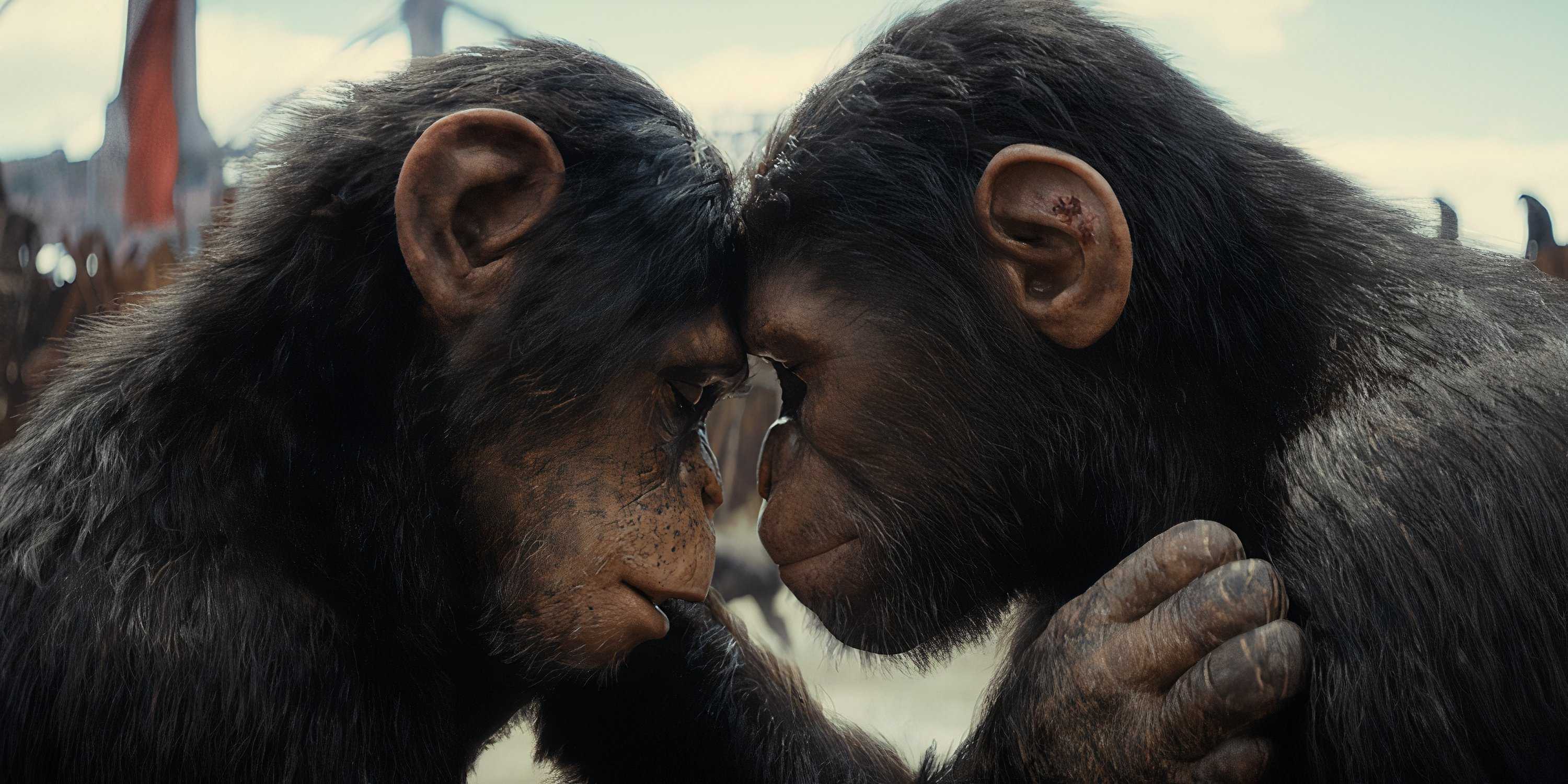Close Raka Is Raka Dead in Kingdom of the Planet of the Apes?