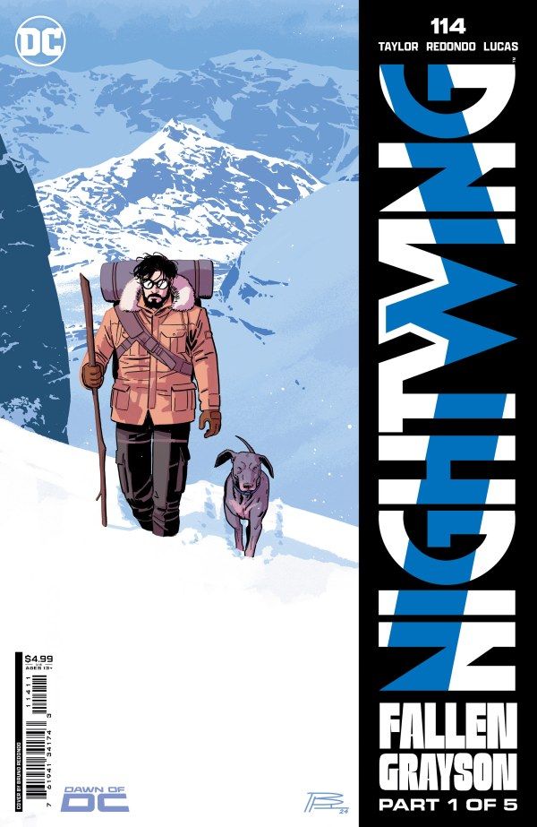 Nightwing #114 cover.