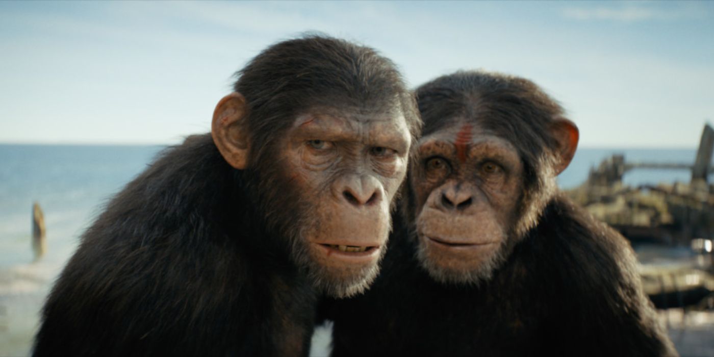 Режиссер «Царства планеты обезьян» рассказал, как финал послужит основой для сиквела