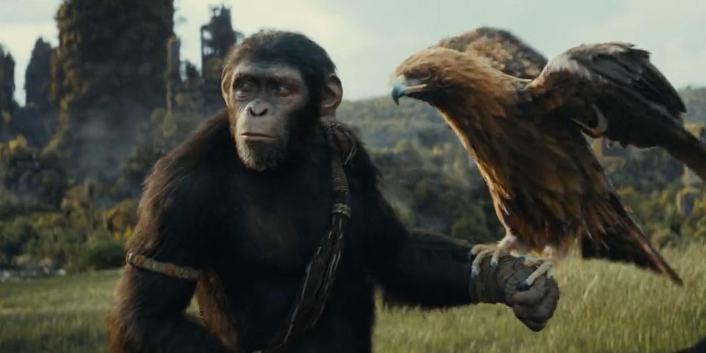 Kingdom of the Planet of the Apes Director Teases the Sequel's Story