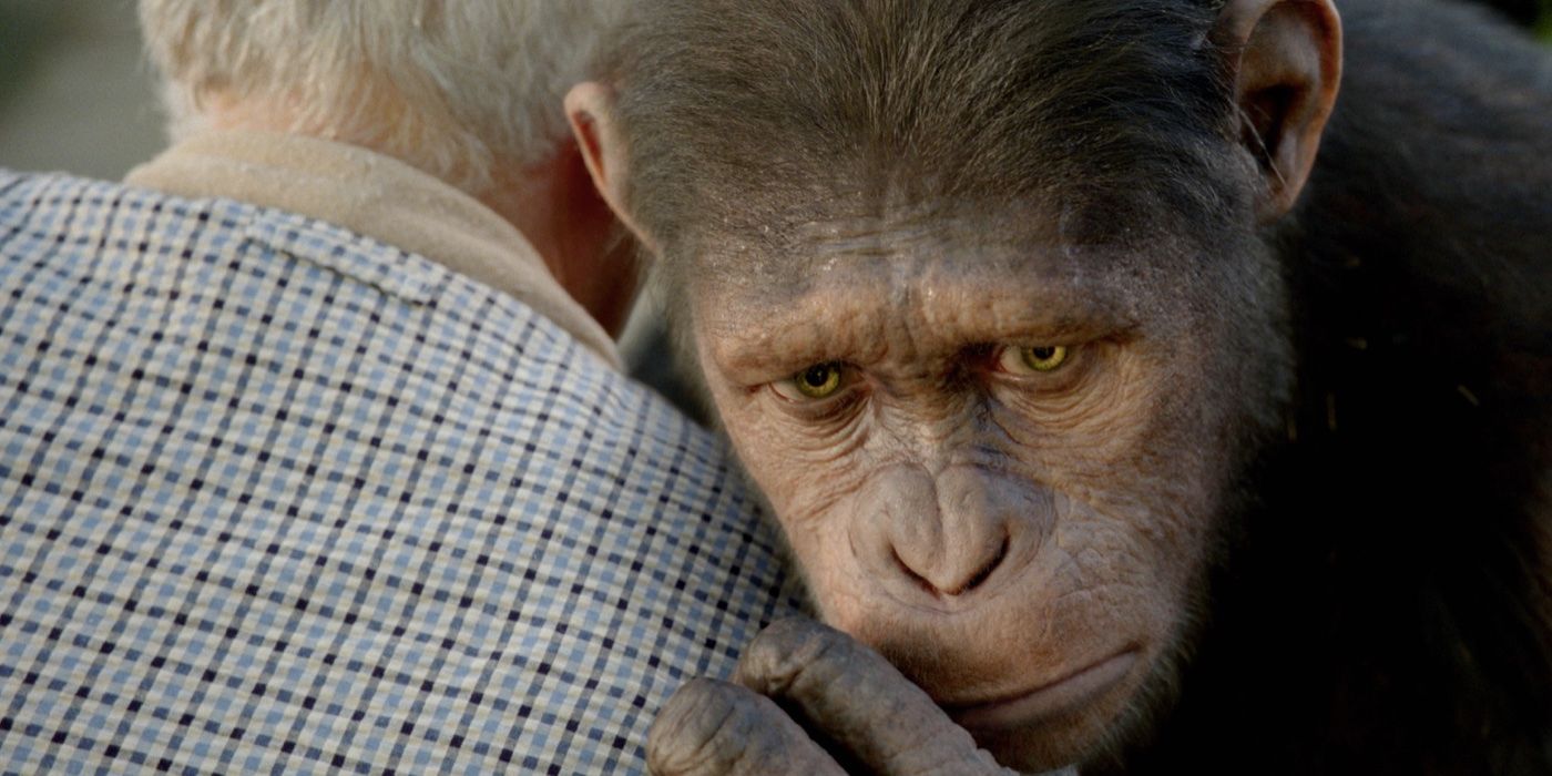 Planet of the Apes: Caesar's Family Tree, Explained