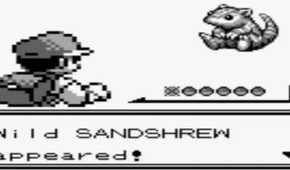 A wild Sandshrew appears in Pokemon Blue.