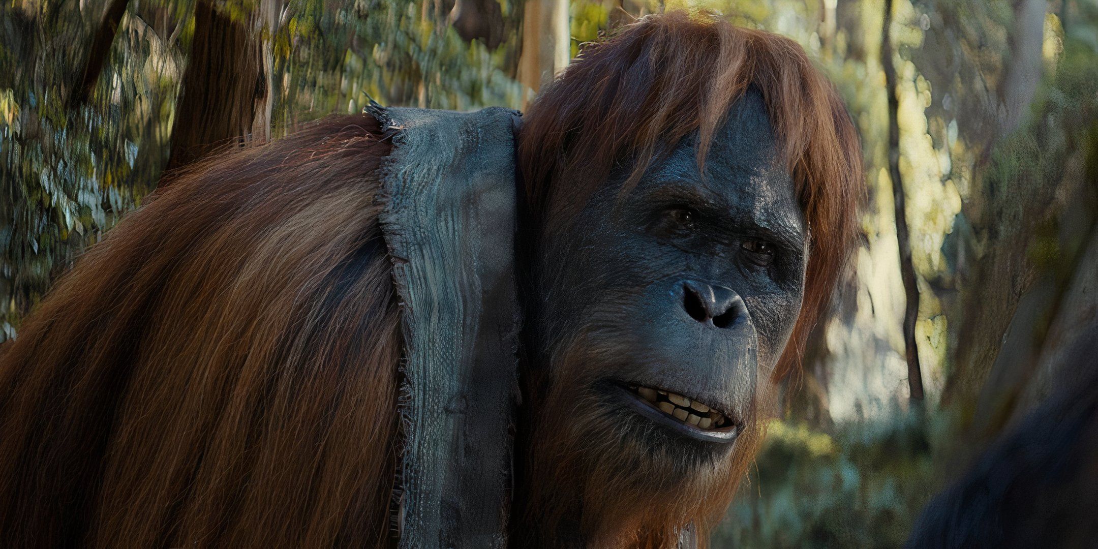 Is Raka Dead in Kingdom of the Planet of the Apes?