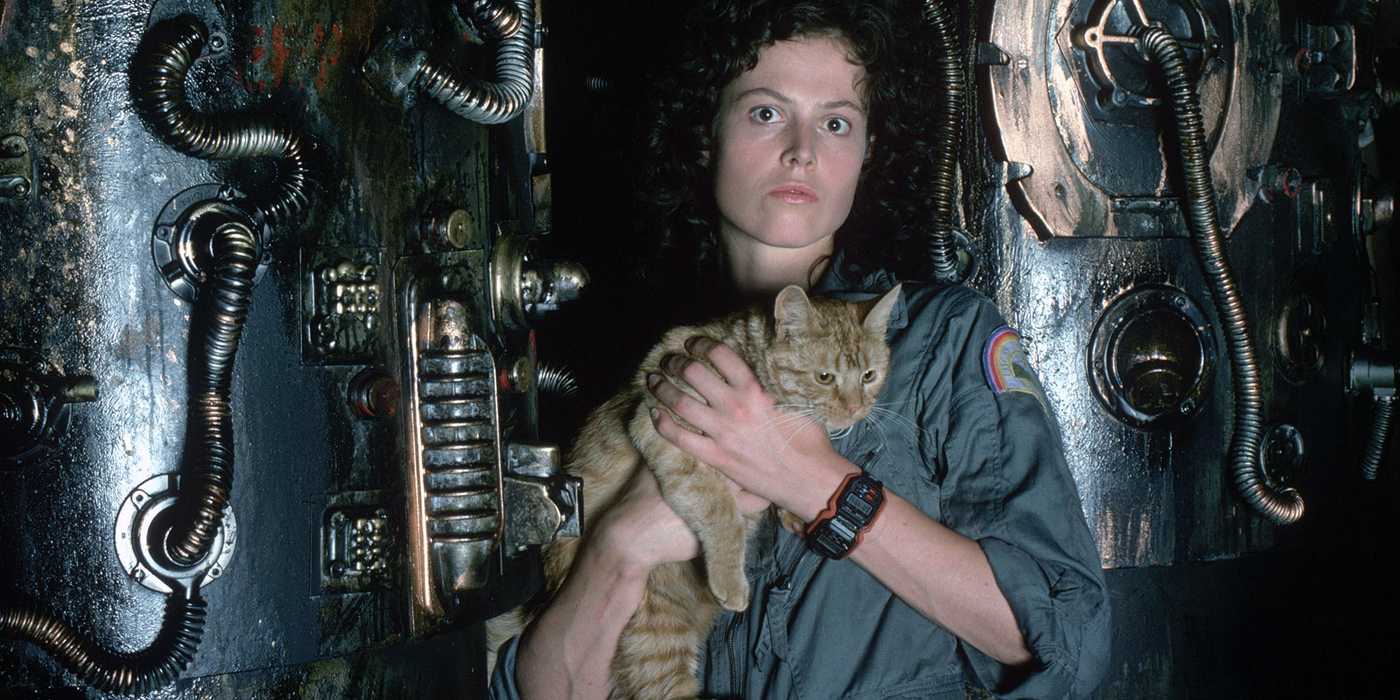 Alien Riply Scott 'I Had No Choice': Ridley Scott Opens Up About Losing Alien and Blade ...