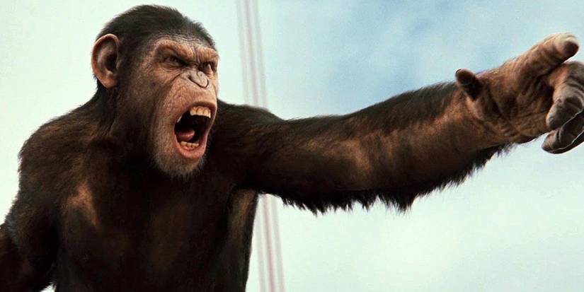 The 35 Best Movies To Watch On Max Right Now
