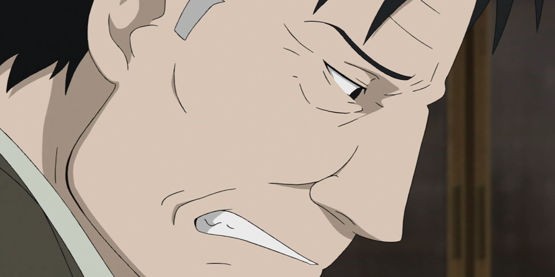 Best Fullmetal Alchemist: Brotherhood Storylines, Ranked
