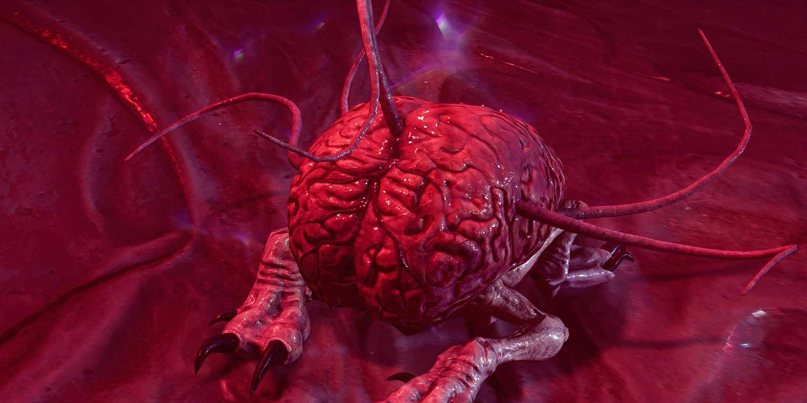 Best Baldur's Gate 3 Companions, Ranked