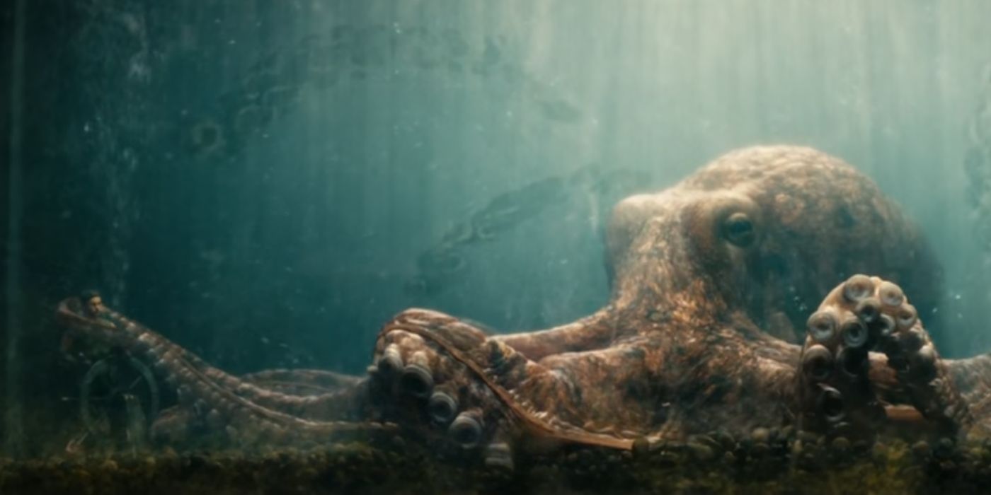 The Boys Star 'Almost Had a Panic Attack' Over Filming Octopus Scene